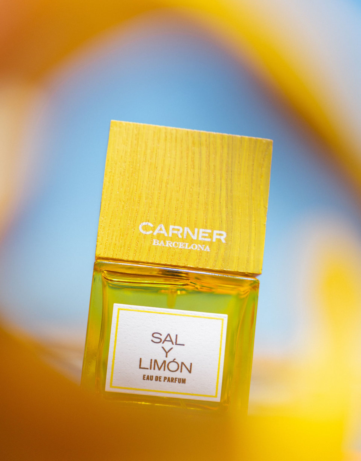 SAL Y LIMÓN