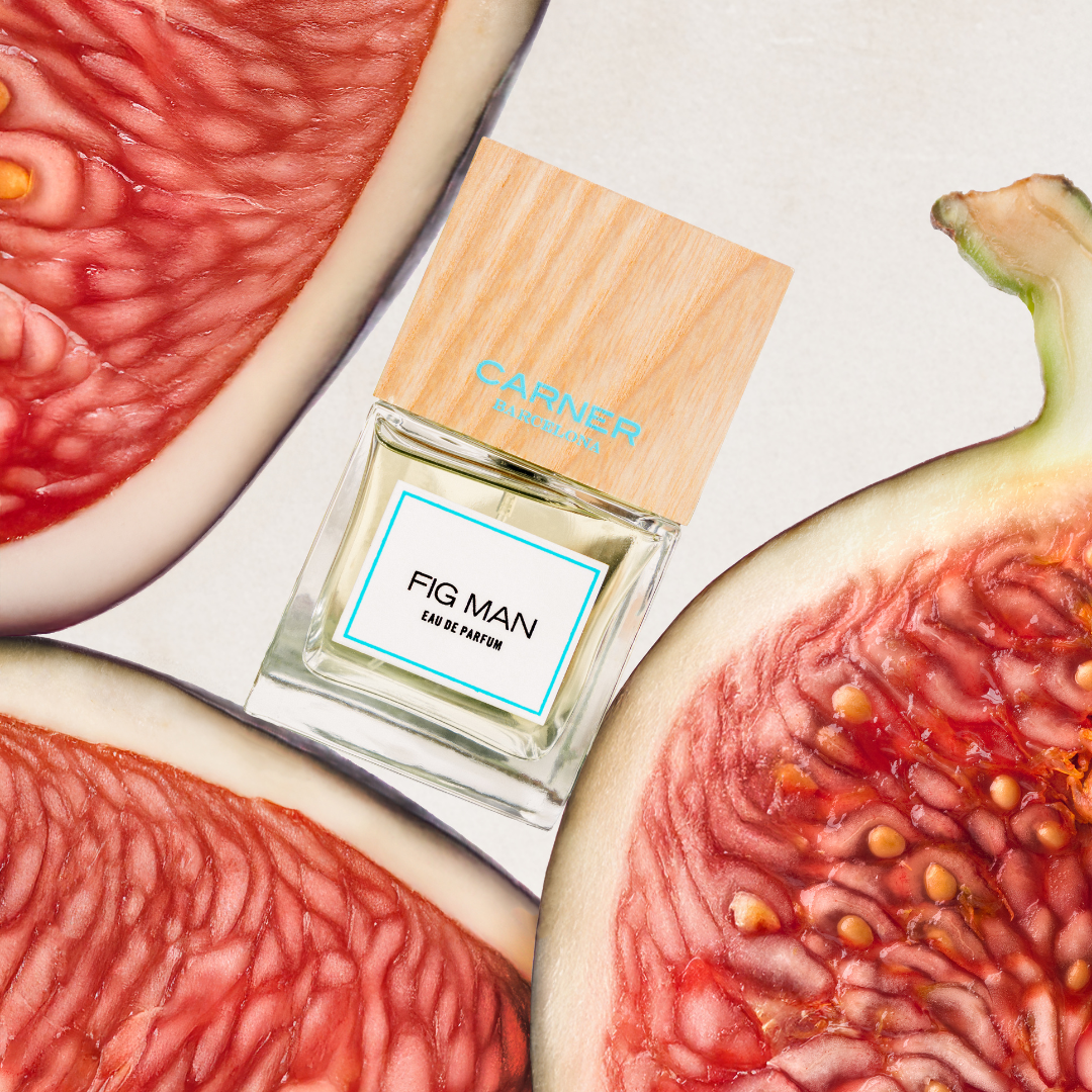 FIG MAN