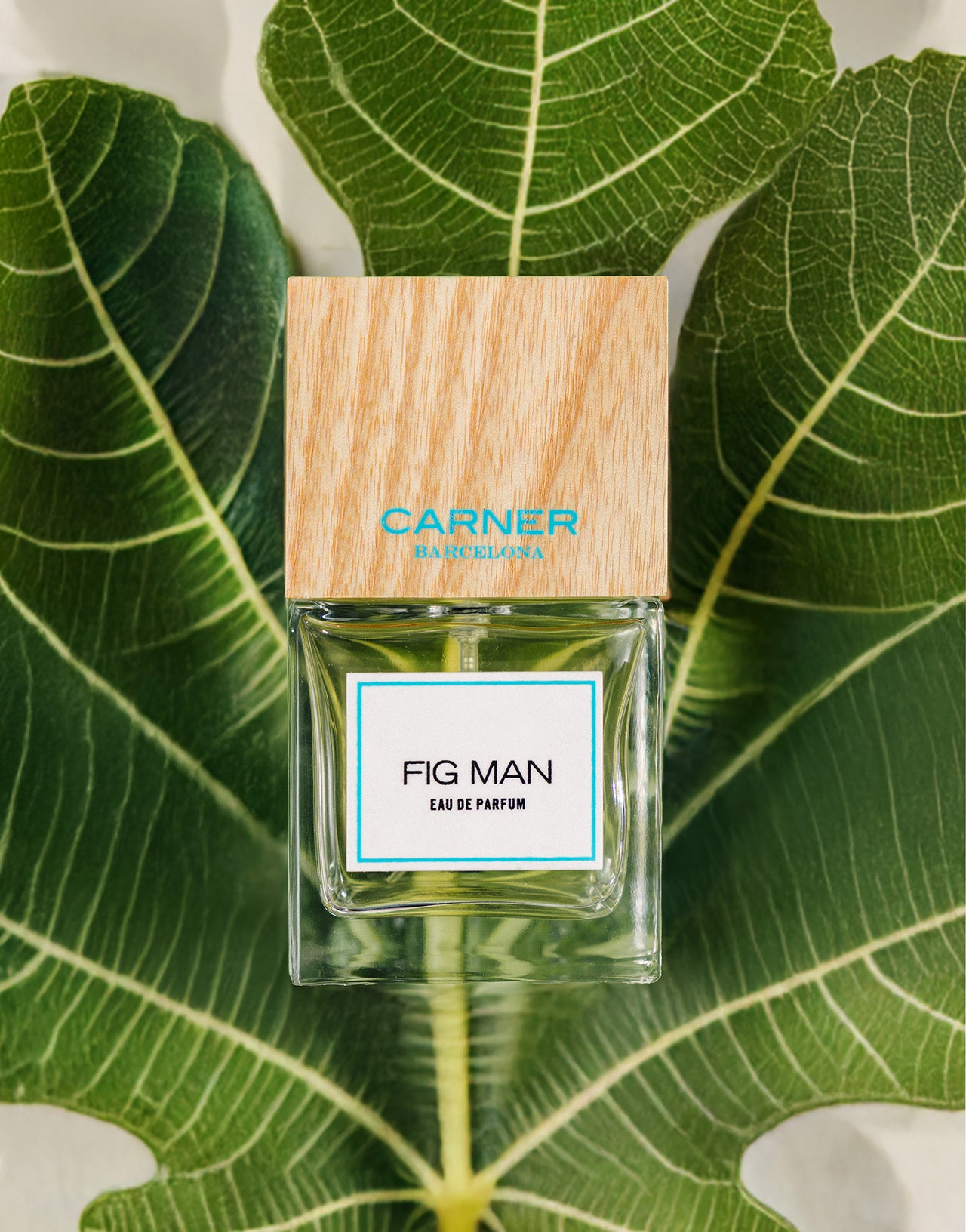 FIG MAN