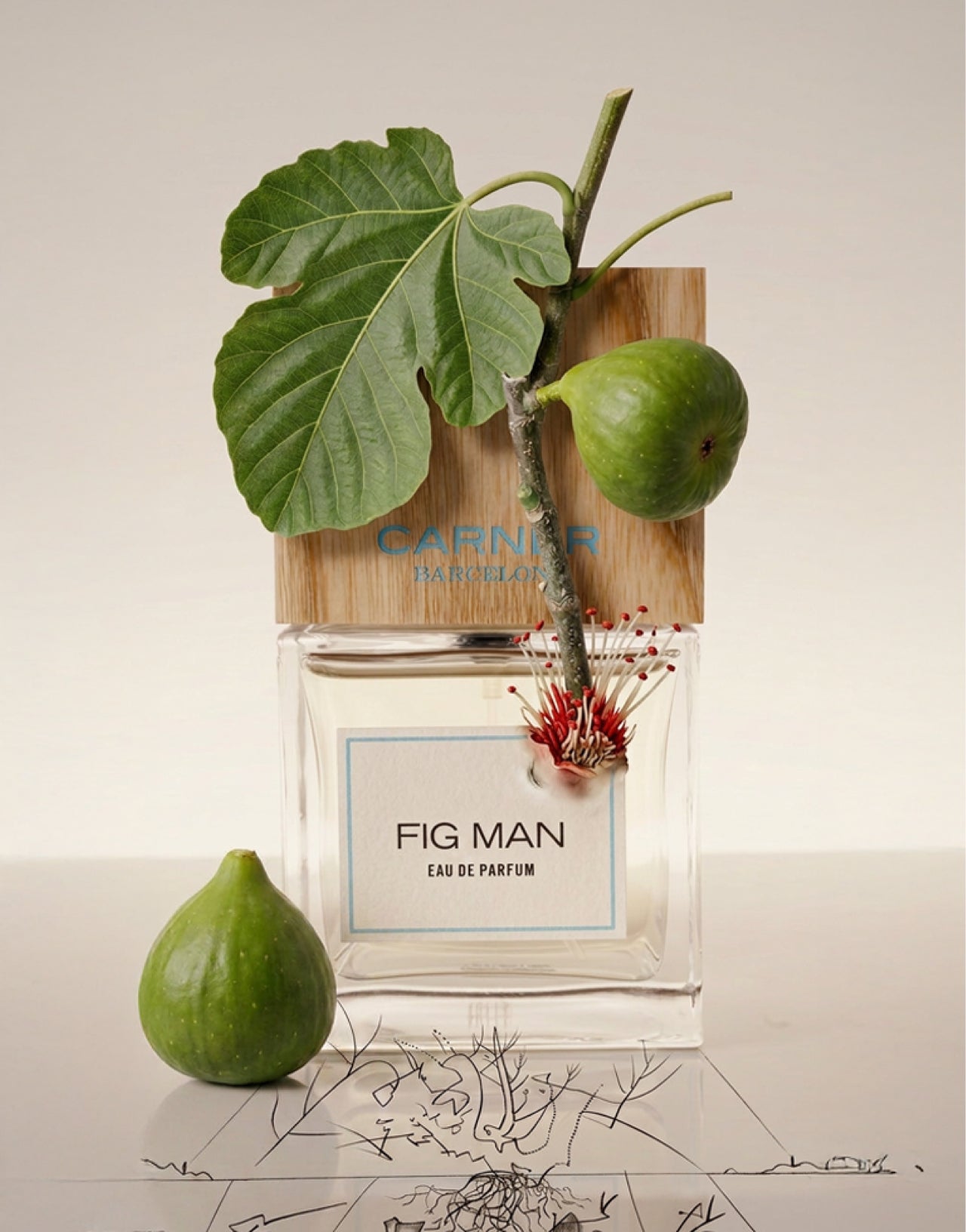 FIG MAN