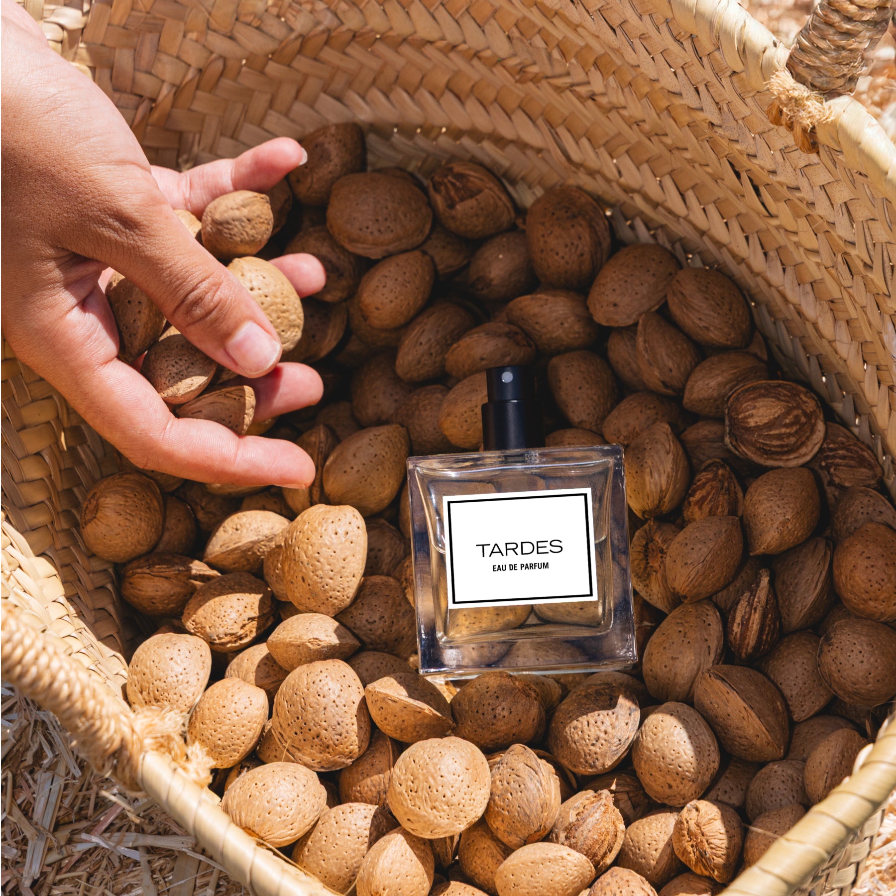 Tardes - Unisex Floral Perfume | Carner Barcelona